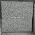 Dalle de pavé de granite à surface de frêne sésame